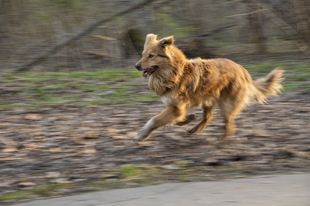 Фотография автора Екатерина Лапаева