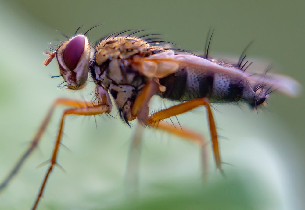 Photograph by Борис Платицин