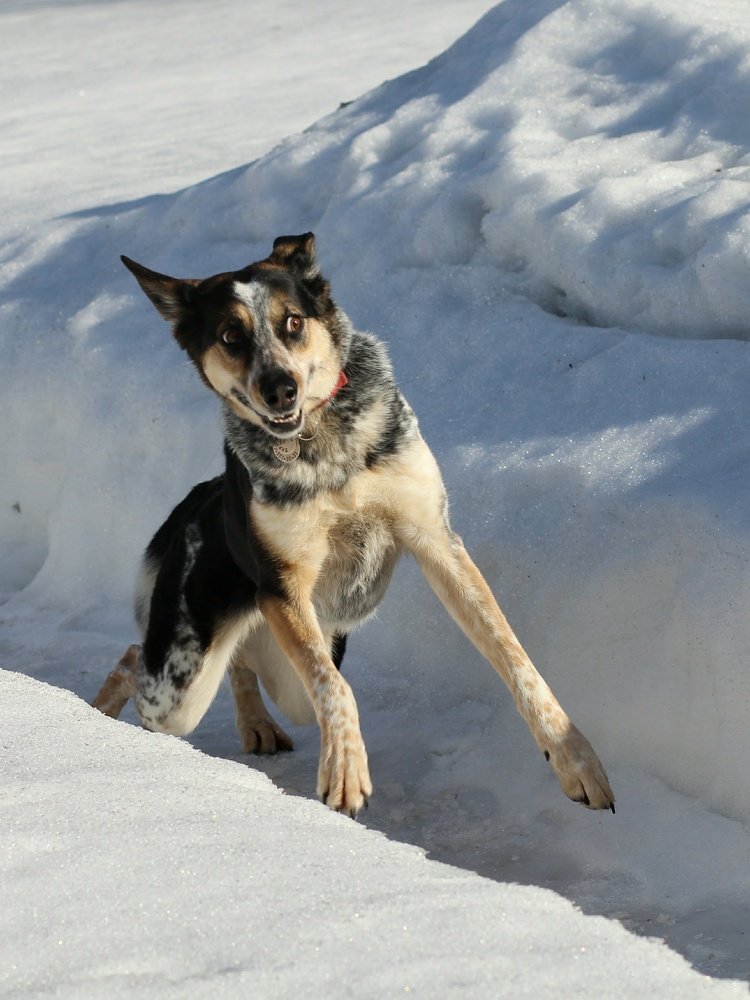 Photograph by Светлана Богомолова