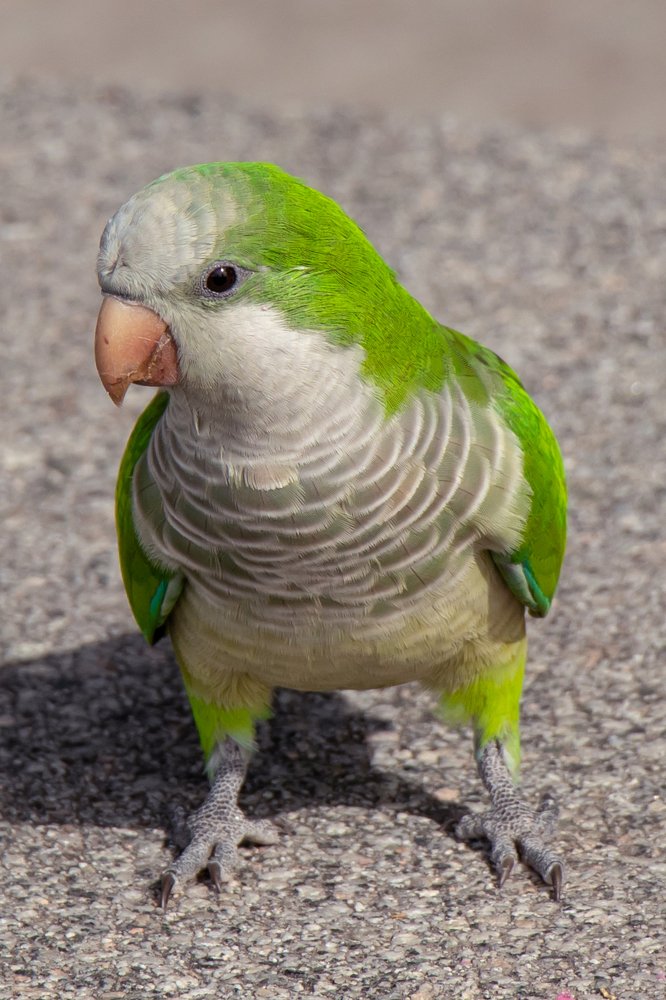 Photograph by Evgeniia Iakimenko