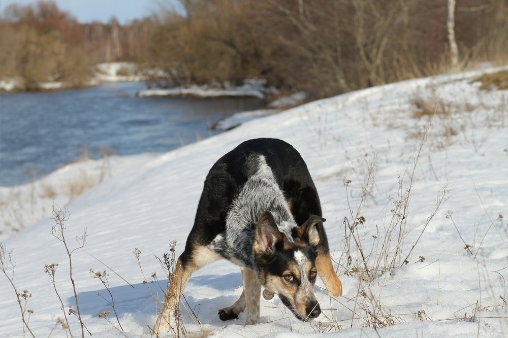 Photograph by Светлана Богомолова