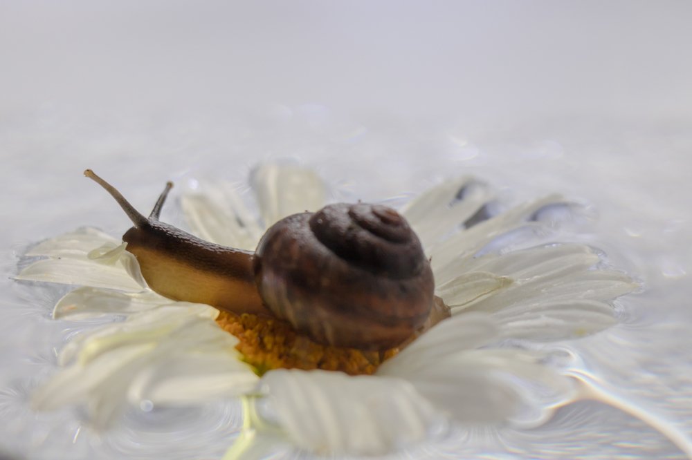 Photograph by Evgeniia Iakimenko