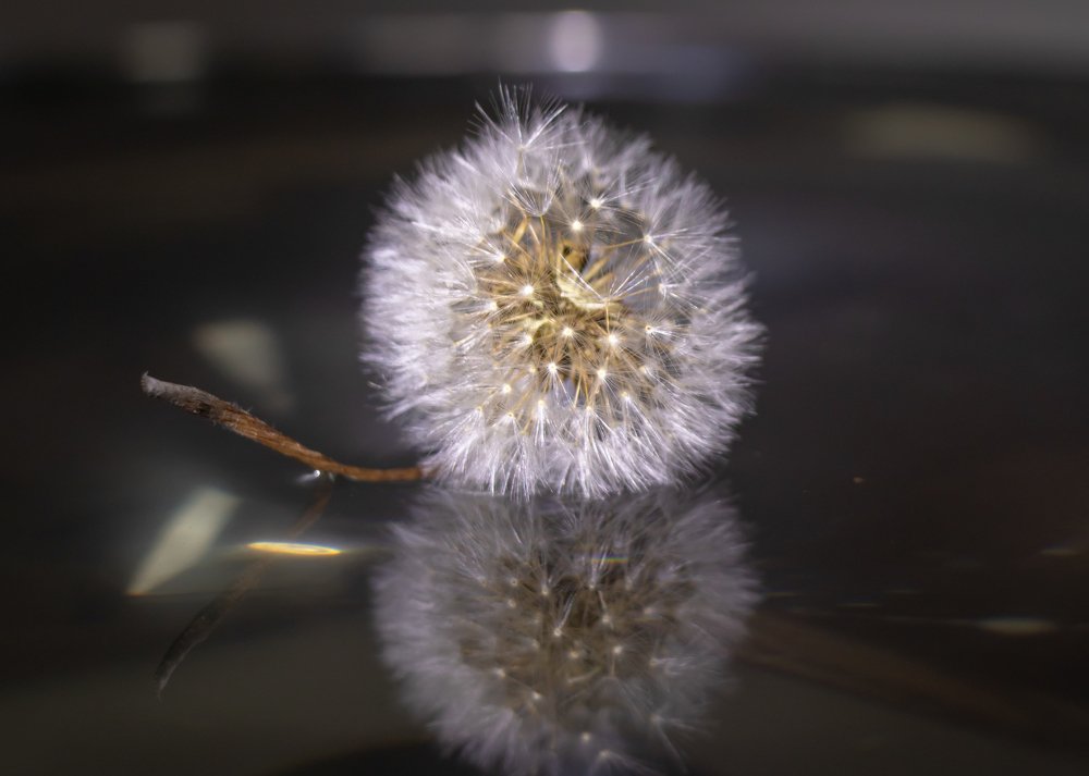 Photograph by Evgeniia Iakimenko