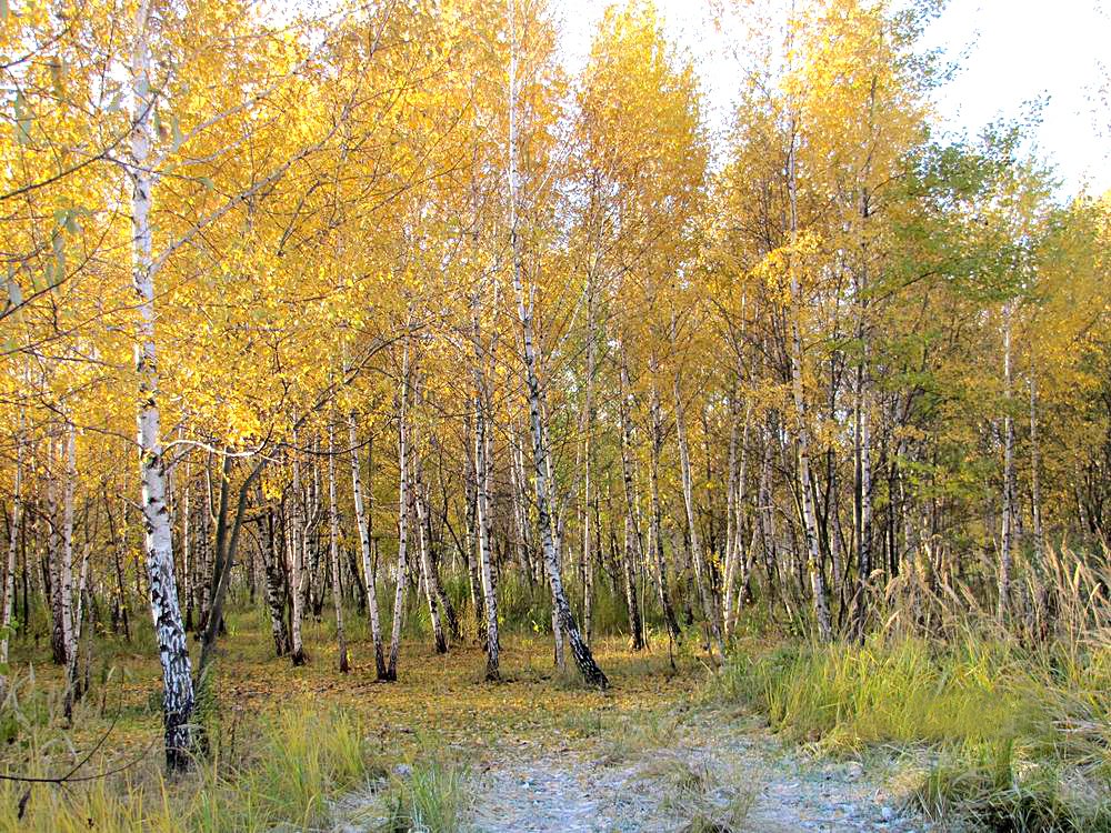 Photograph by Наталья