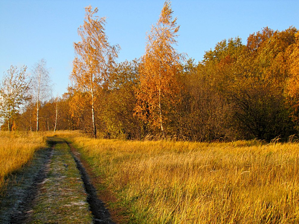 Photograph by Наталья