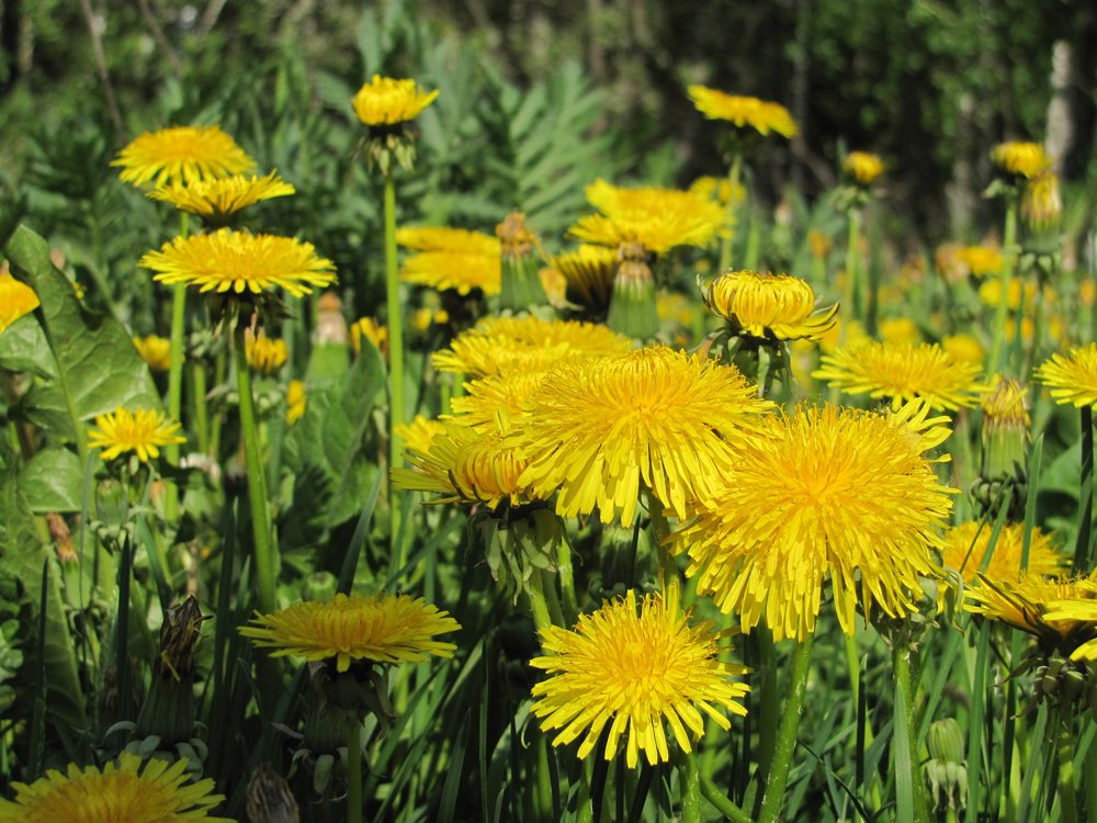 Photograph by Наталья