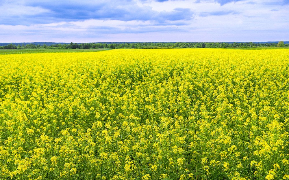 Photograph by Олег Черных