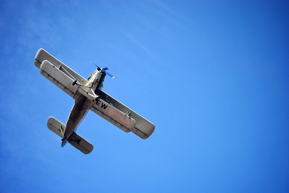 Фотография автора Анастасия Пищулова