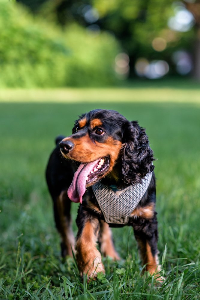 Photograph by Вадим