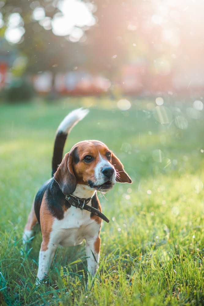 Photograph by Вадим