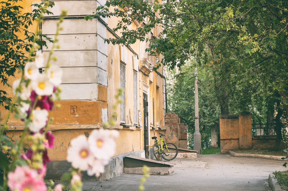 Photograph by Александр Лунин