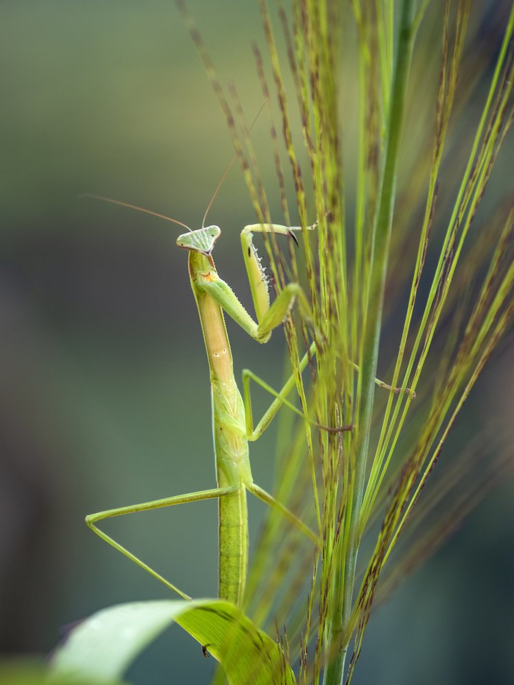 Photograph by Trần Hà