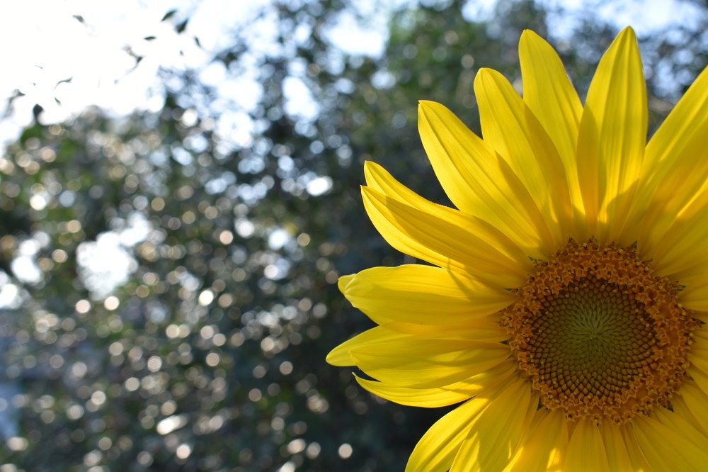 Photograph by Тогжан Таминбаева