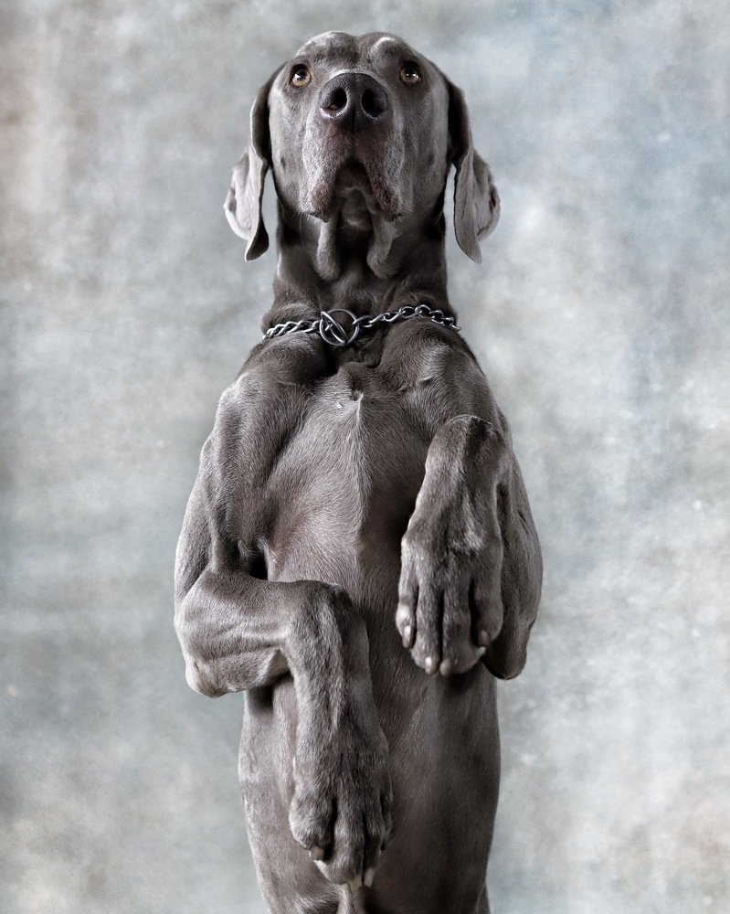 Фотография автора Евгения Аверкиева