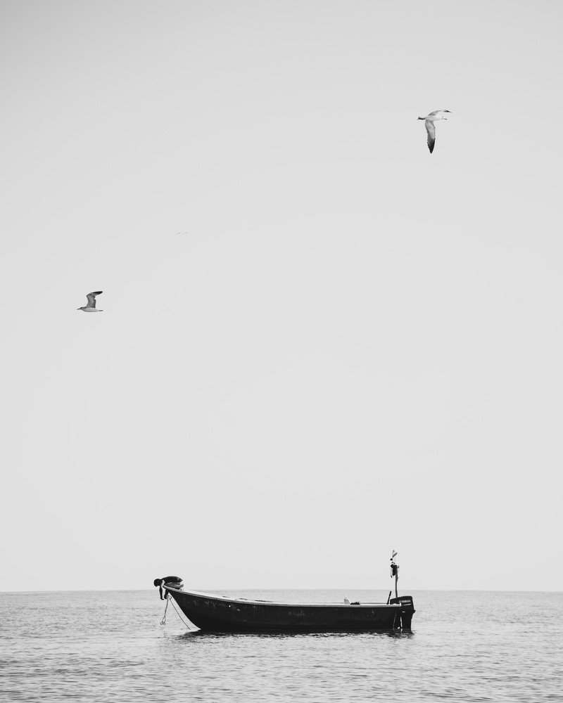 Photograph by abdorahman azizi