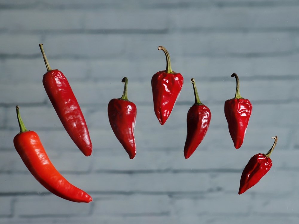 Фотография автора Евгения Аверкиева