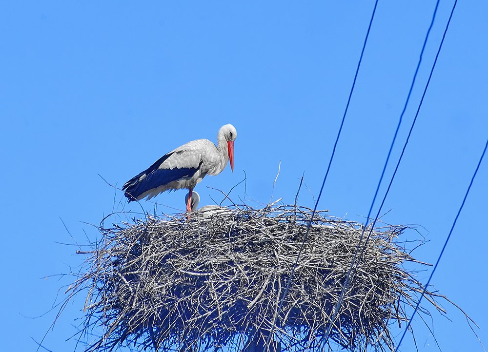 Фотография автора Игорь Иванов