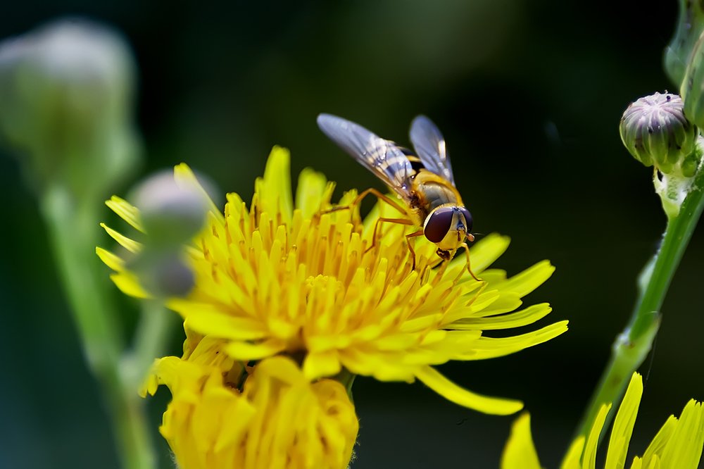 Фотография автора Игорь Иванов