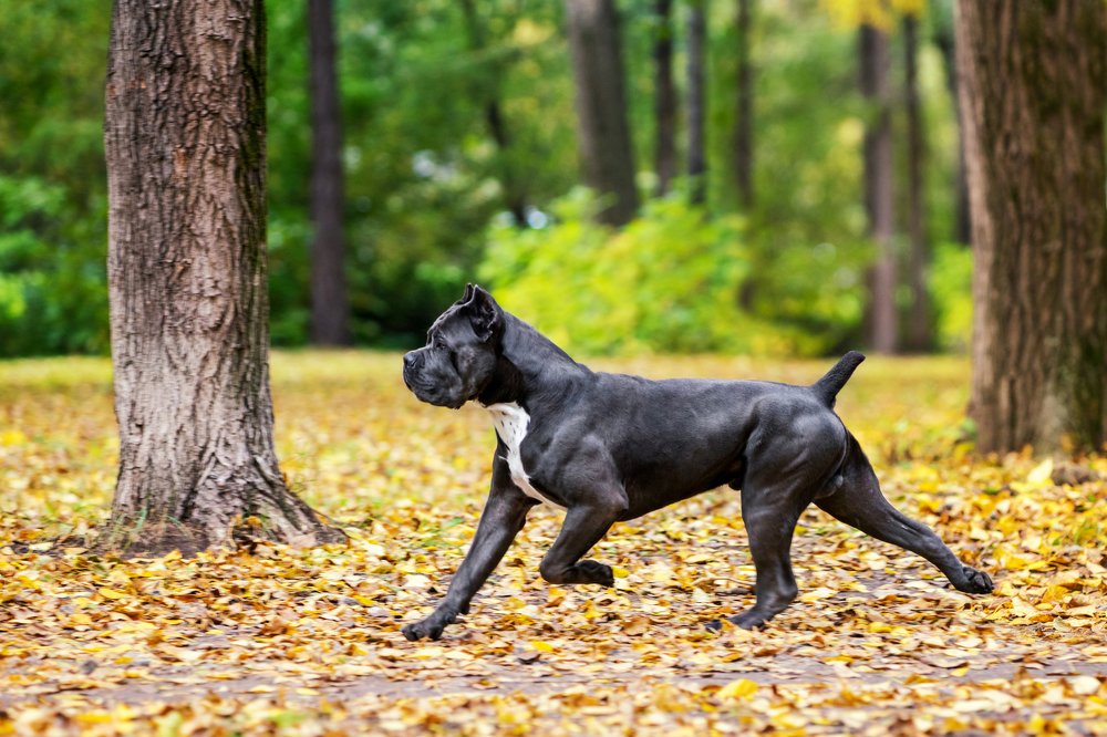 Photograph by Мария Самсонова