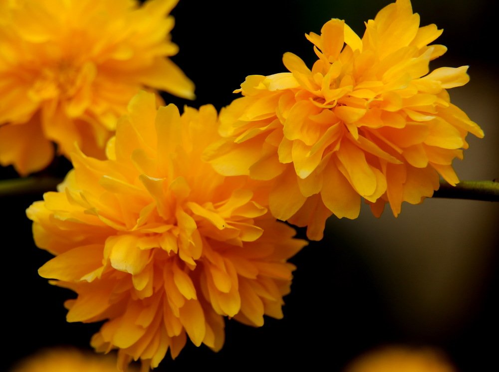 Photograph by 