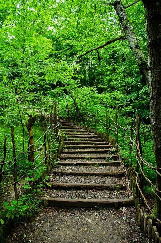 Photograph by Sahar Jafari