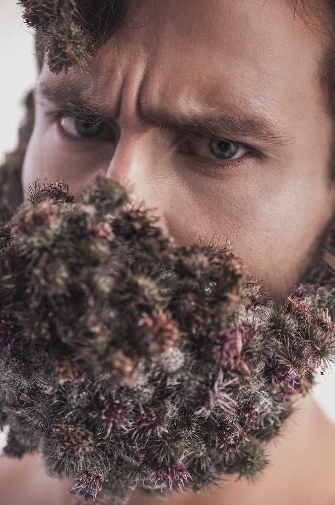 Photograph by Татьяна Довыденко