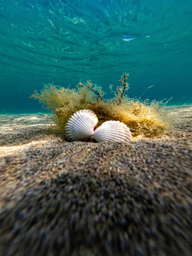 Photograph by Jakub Michálek