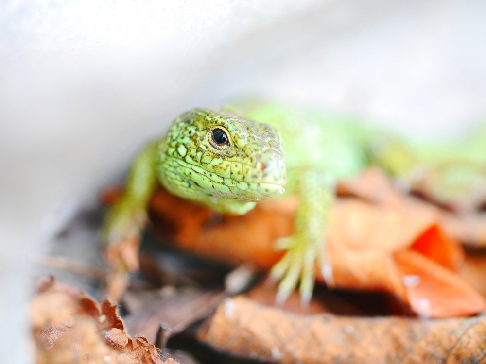 Photograph by Анастасия Егорова