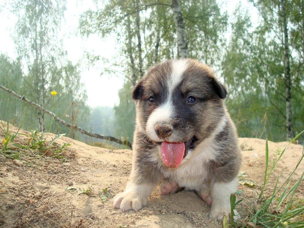 Photograph by Виталий