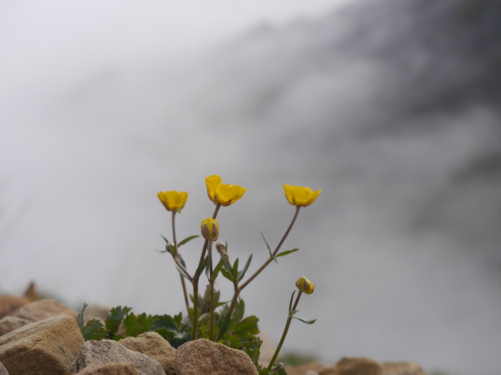 Photograph by Анастасия Егорова
