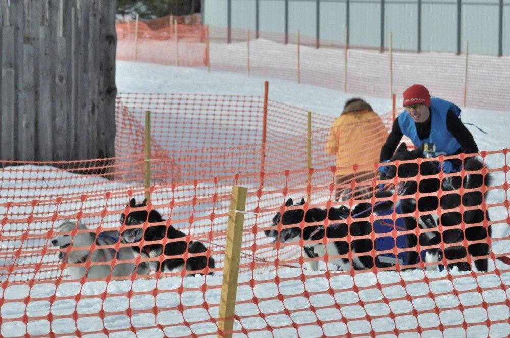 Photograph by Игорь Медянцев