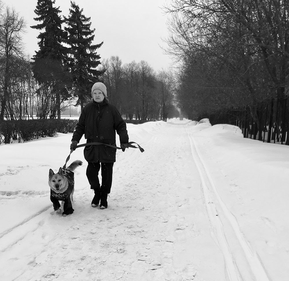 Зимняя прогулка ...