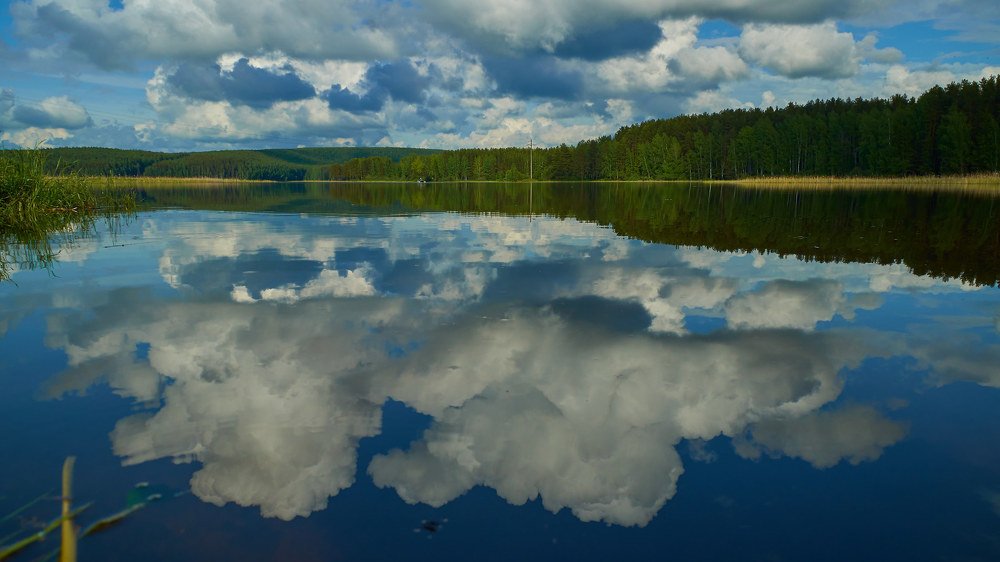 Photograph by Алексей Приешкин