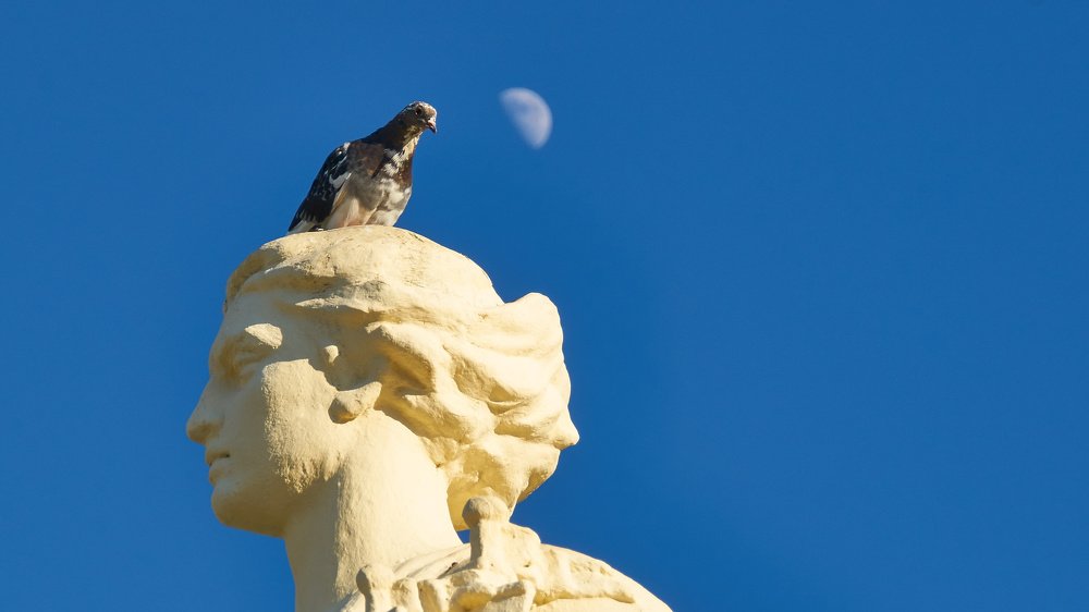 Photograph by Алексей Приешкин