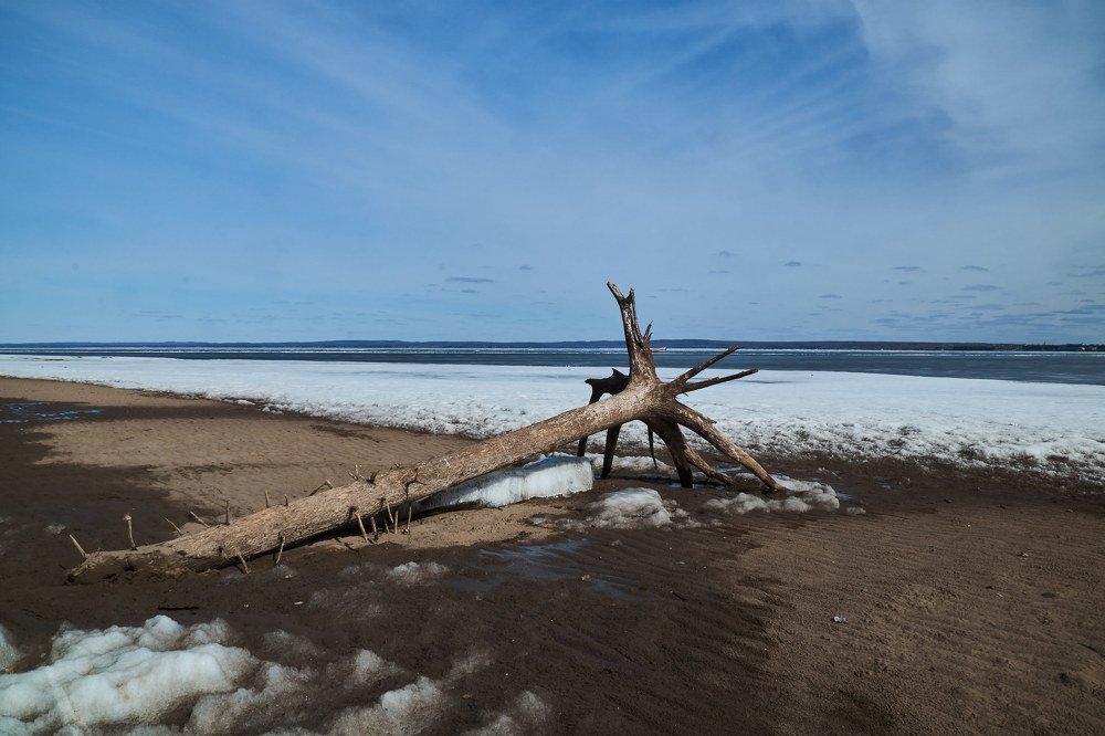 Photograph by Алексей Приешкин