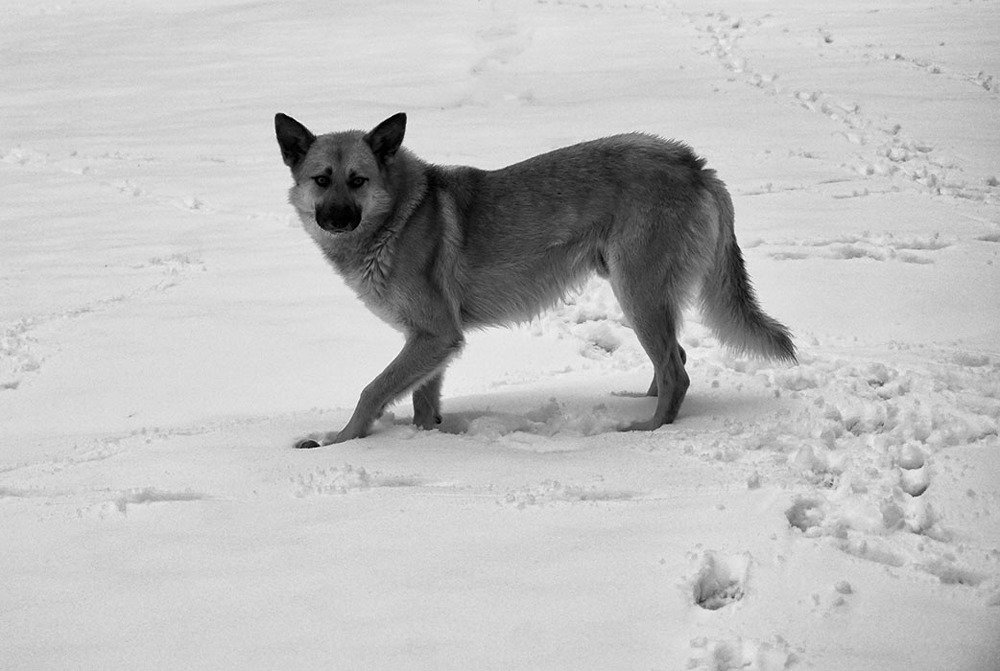 Остановка ...