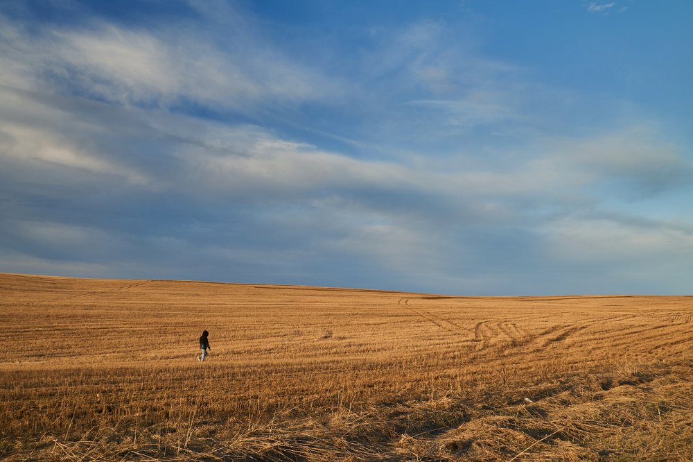 Photograph by Алексей Приешкин