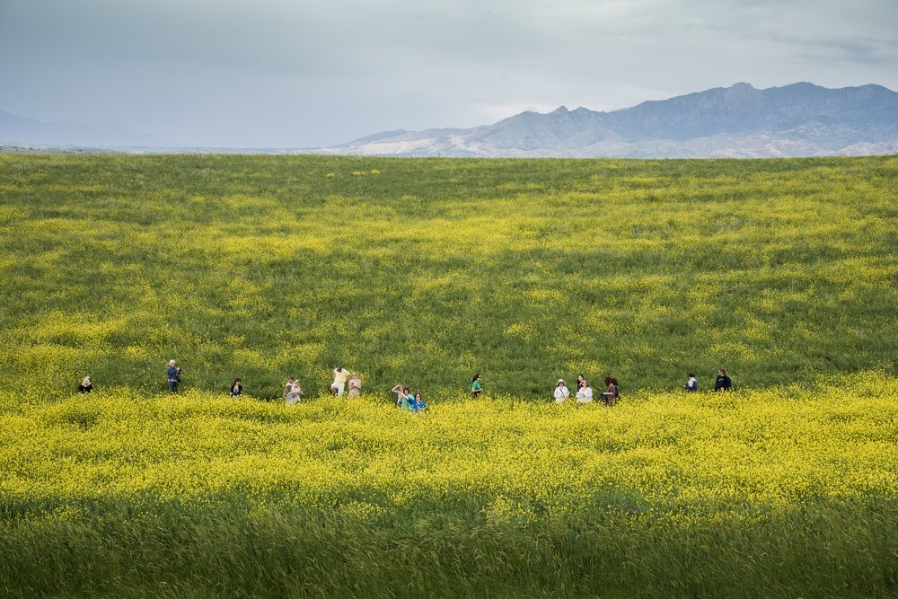 Photograph by Юлия Хан