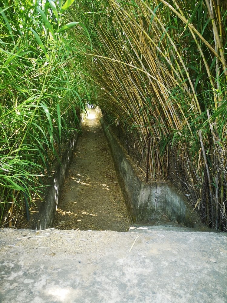 Фотография автора Maria Tsitoura