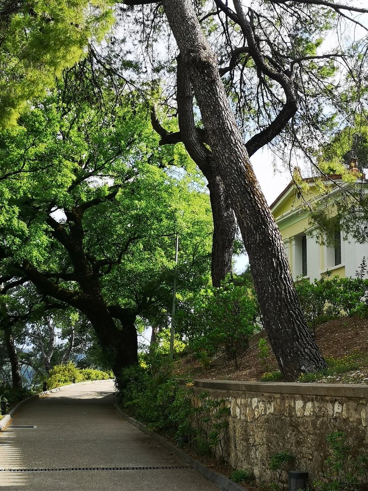 Фотография автора Maria Tsitoura