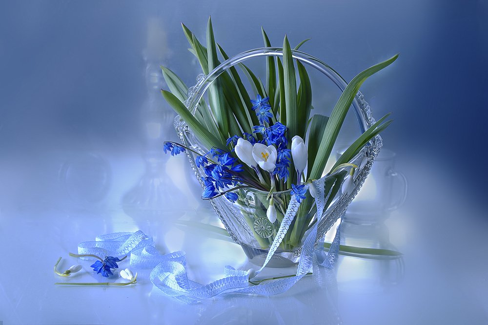 Photograph by Вера  Павлухина