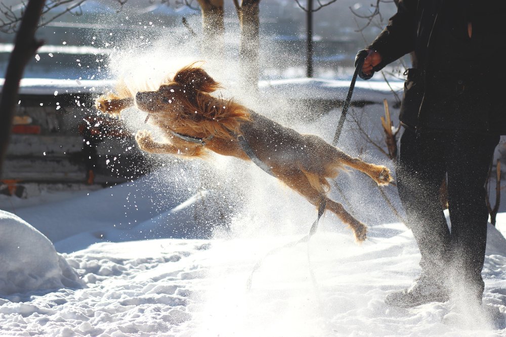 Снежный прыжок