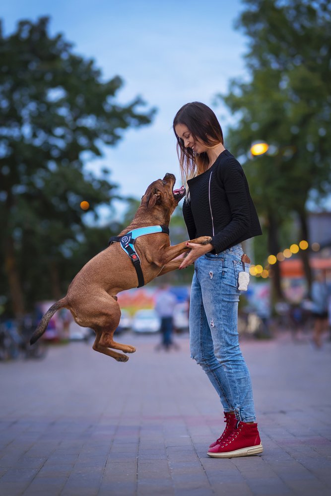 Photograph by Karina Saarestik