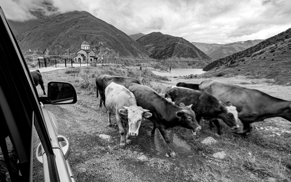 Photograph by Александр Пиленгас