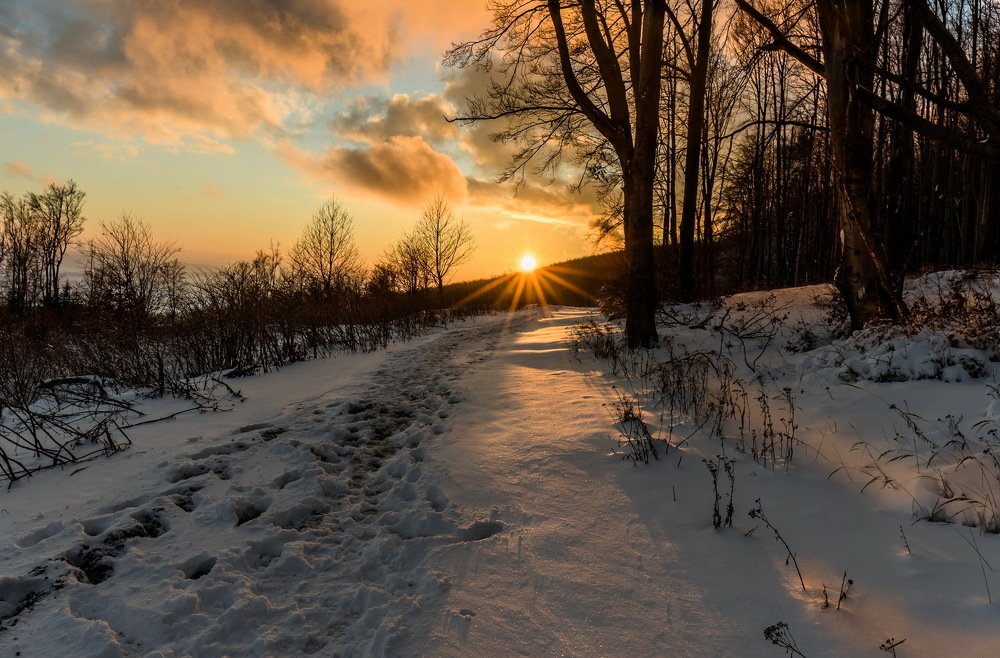 Photograph by Radoslav Garec