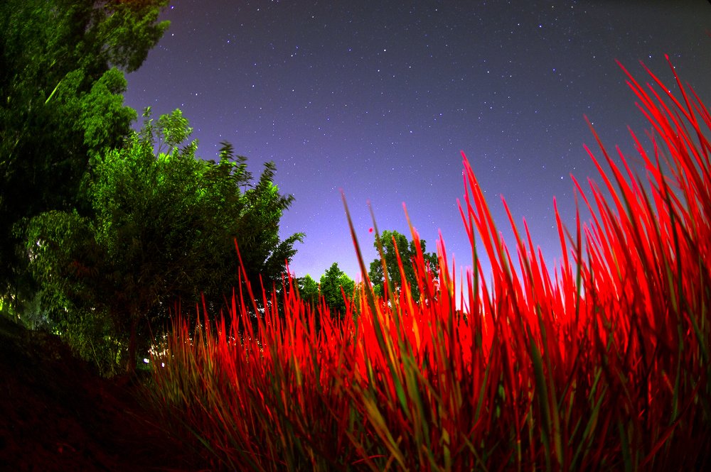 Фотография автора Hashem Mohamed