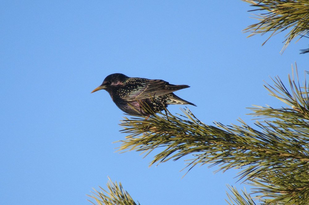 Photograph by Мария Глотова