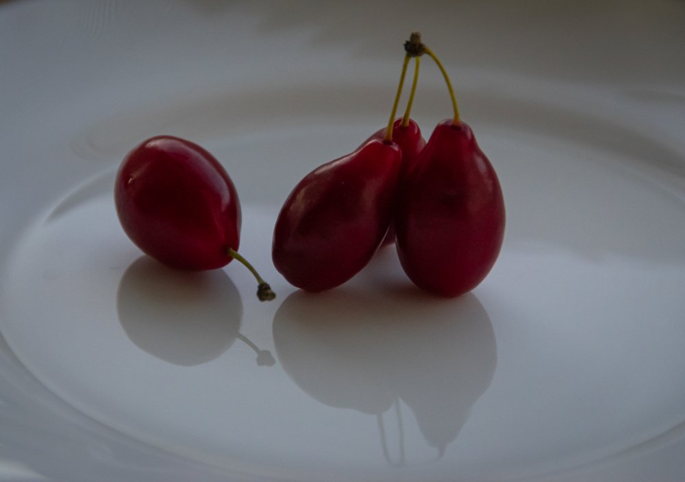 Фотография автора Оксана Белозерская