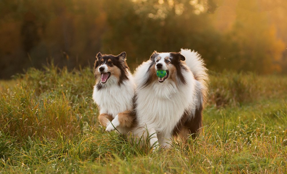 Закат  друзьями