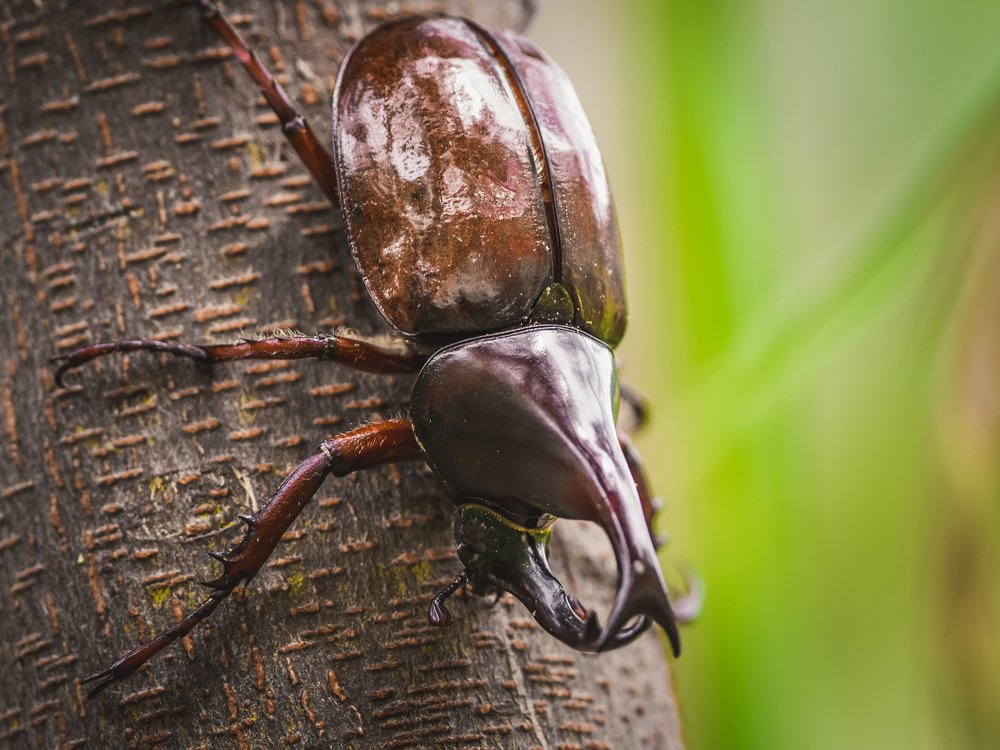 Photograph by Photons Reflectitur